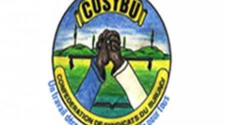 COSYBU